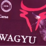 Granja Aranzundica vacuno de raza Wagyu