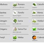 Hory Bio hierbas aromáticas de cultivo biológico