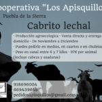 Sociedad Cooperativa de pastores “Los Apisquillos”