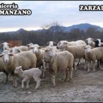 Carnicería F.J. Manzano